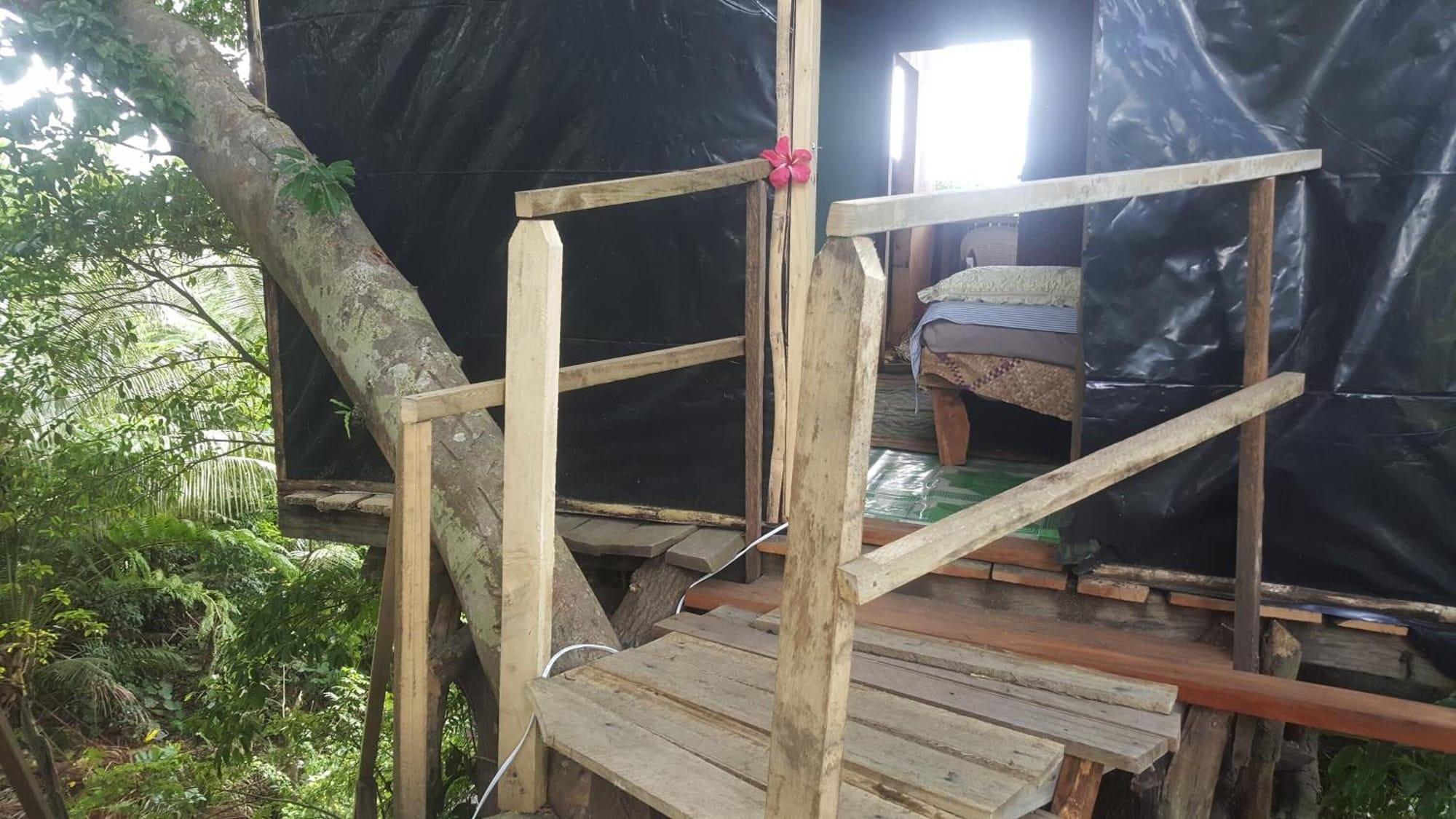 Vista Exterior Castle Tree House