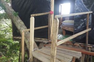 Alojamiento - Castle Tree House