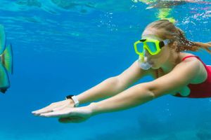Activity - Houseboat Cruise & Snorkel Tour