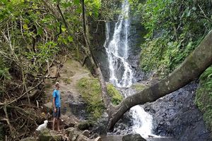 Actividad - Downhill Bike Adventure and Ko’olau Waterfall Hike - Full-Day Tour