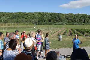 Actividad - Niagara Falls Day Tour with Hornblower Falls Cruise