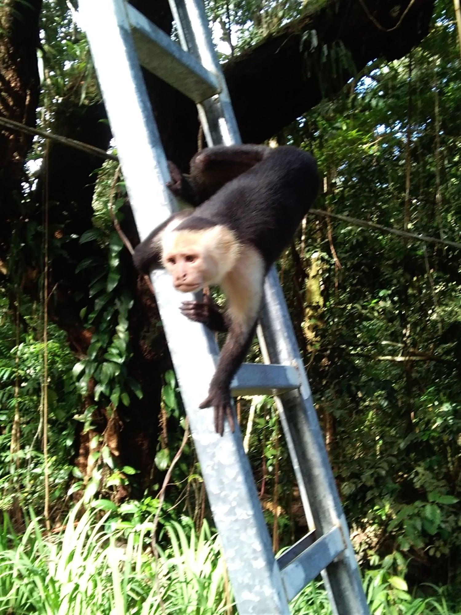 Gimnasio Cabinasyafethosa caletas