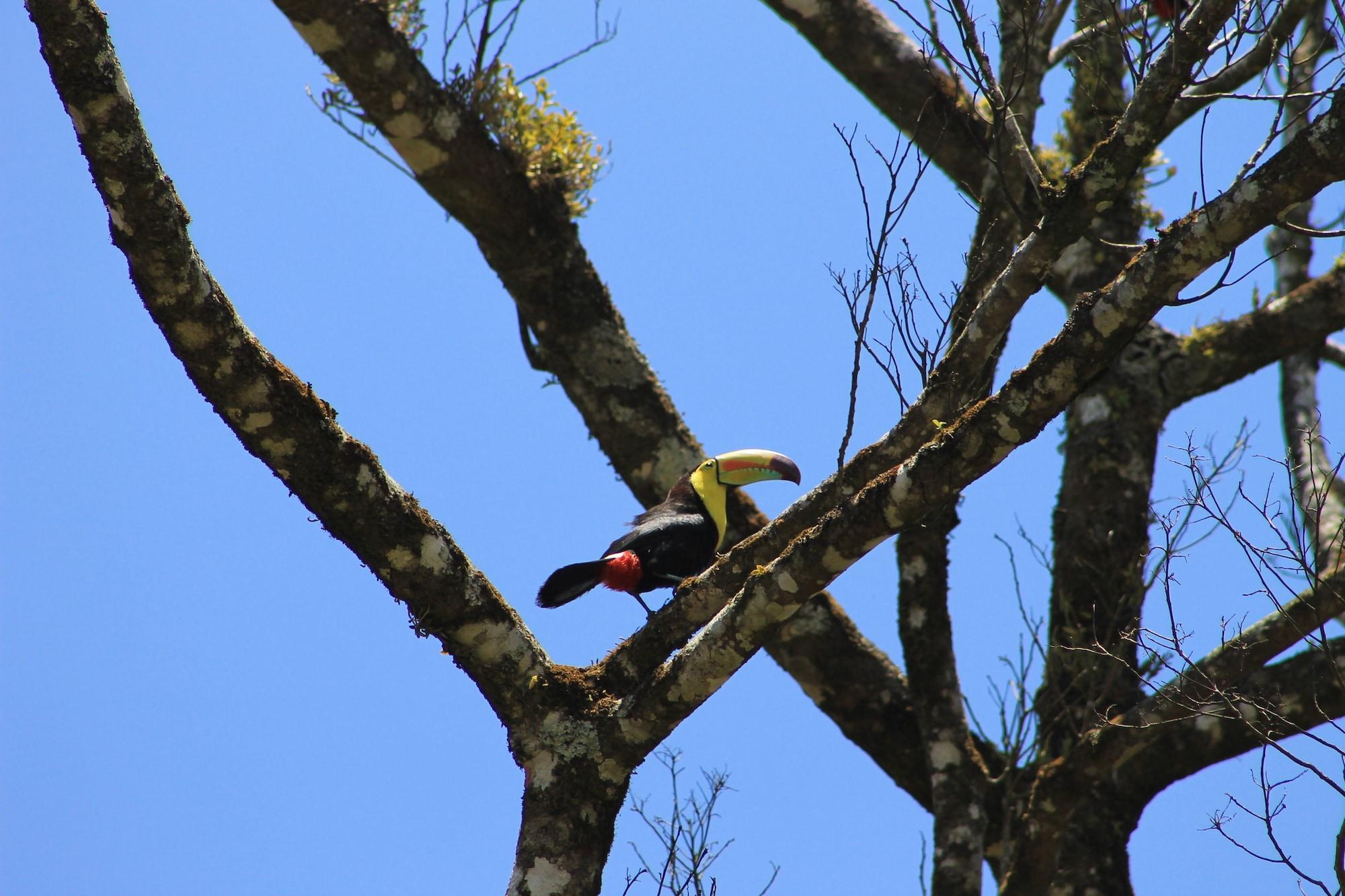 Vista Exterior Hotel Bosque Verde Lodge