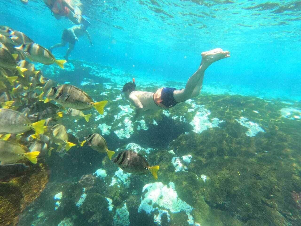 Instalaciones Recreativas Casa Vanora