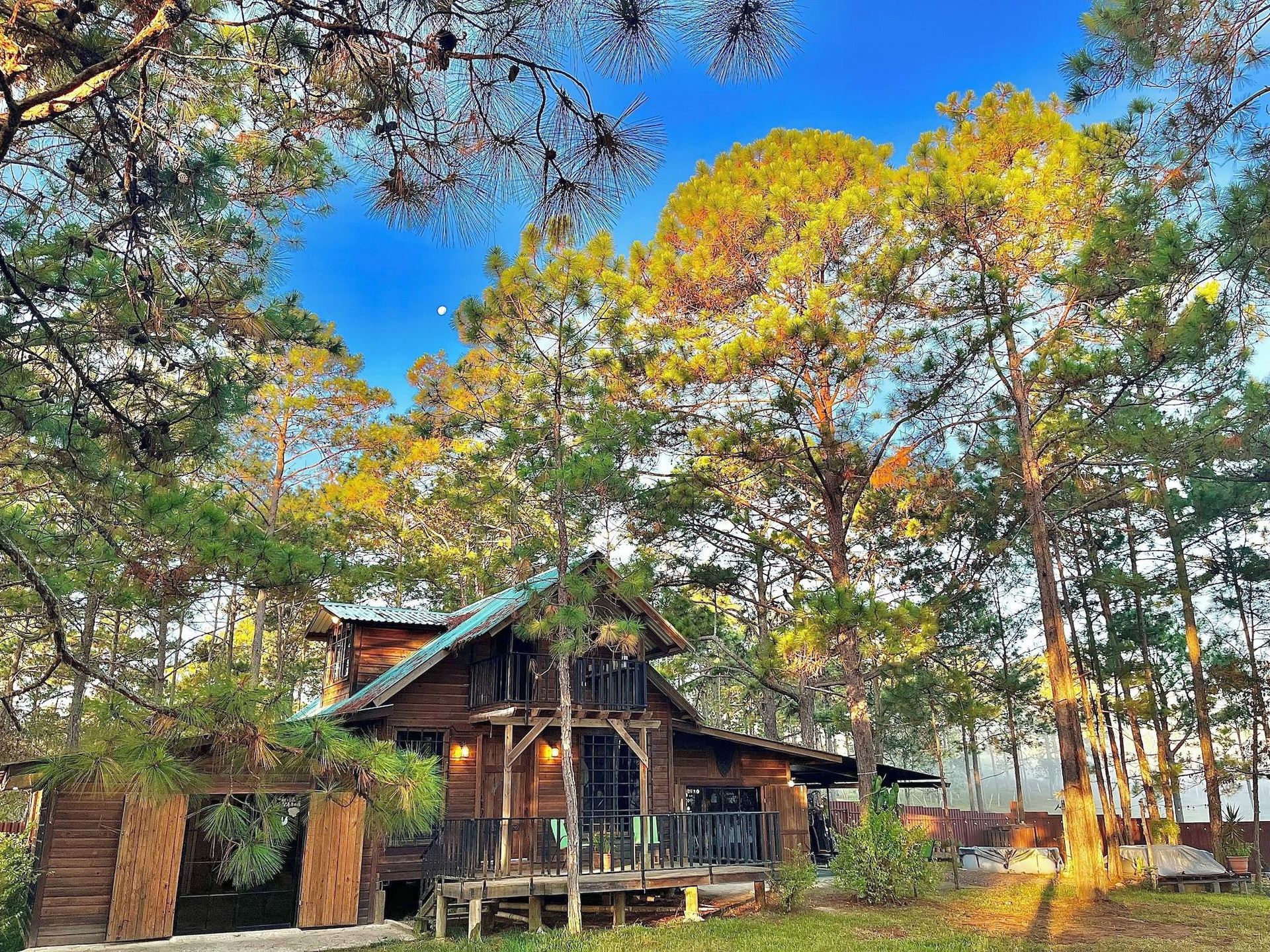 Vista Exterior Pine Scape Lodge | Jacuzzi | BBQ | Pool | Mango Hosting