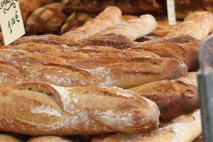 Actividad - Tour gastronómico por Montpellier