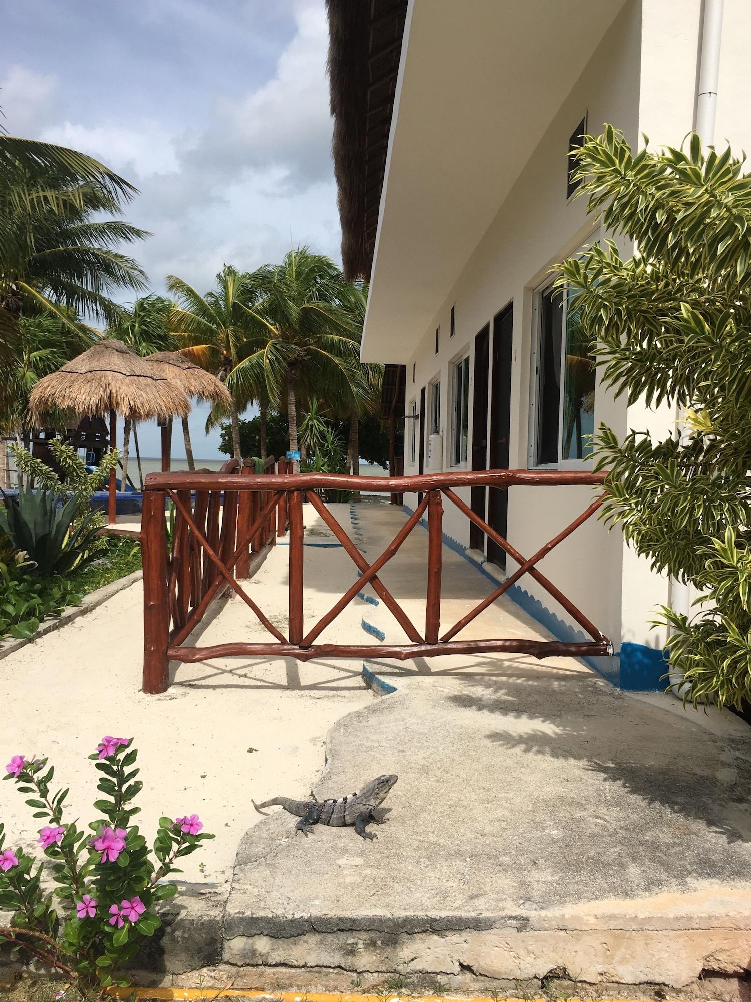 Habitación ikarus kiteboarding