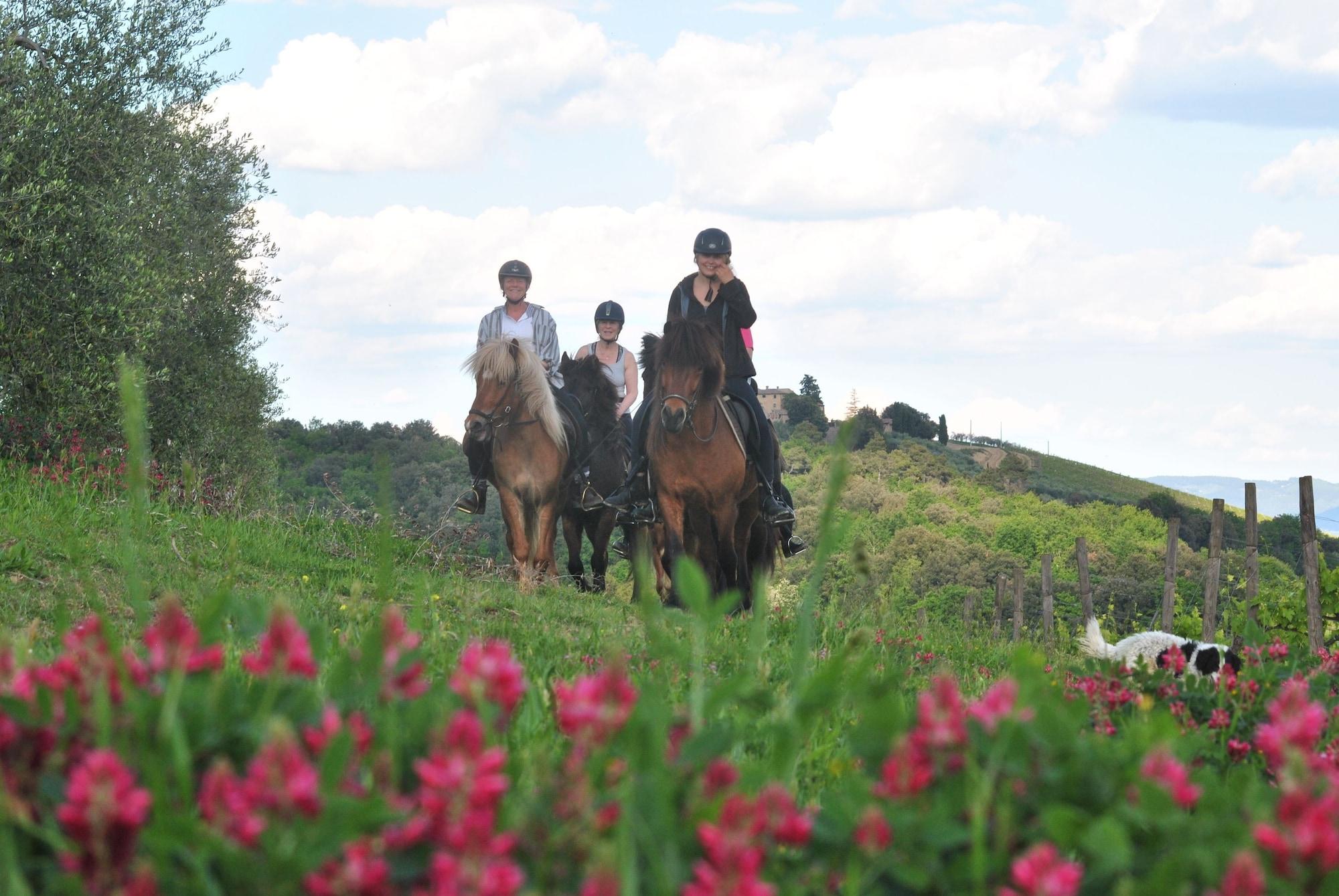 Instalaciones Recreativas Fattoria Voltrona