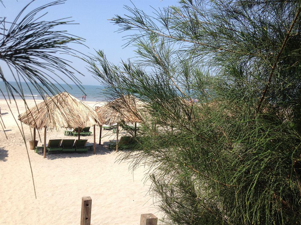 Playa Eco Woods Village