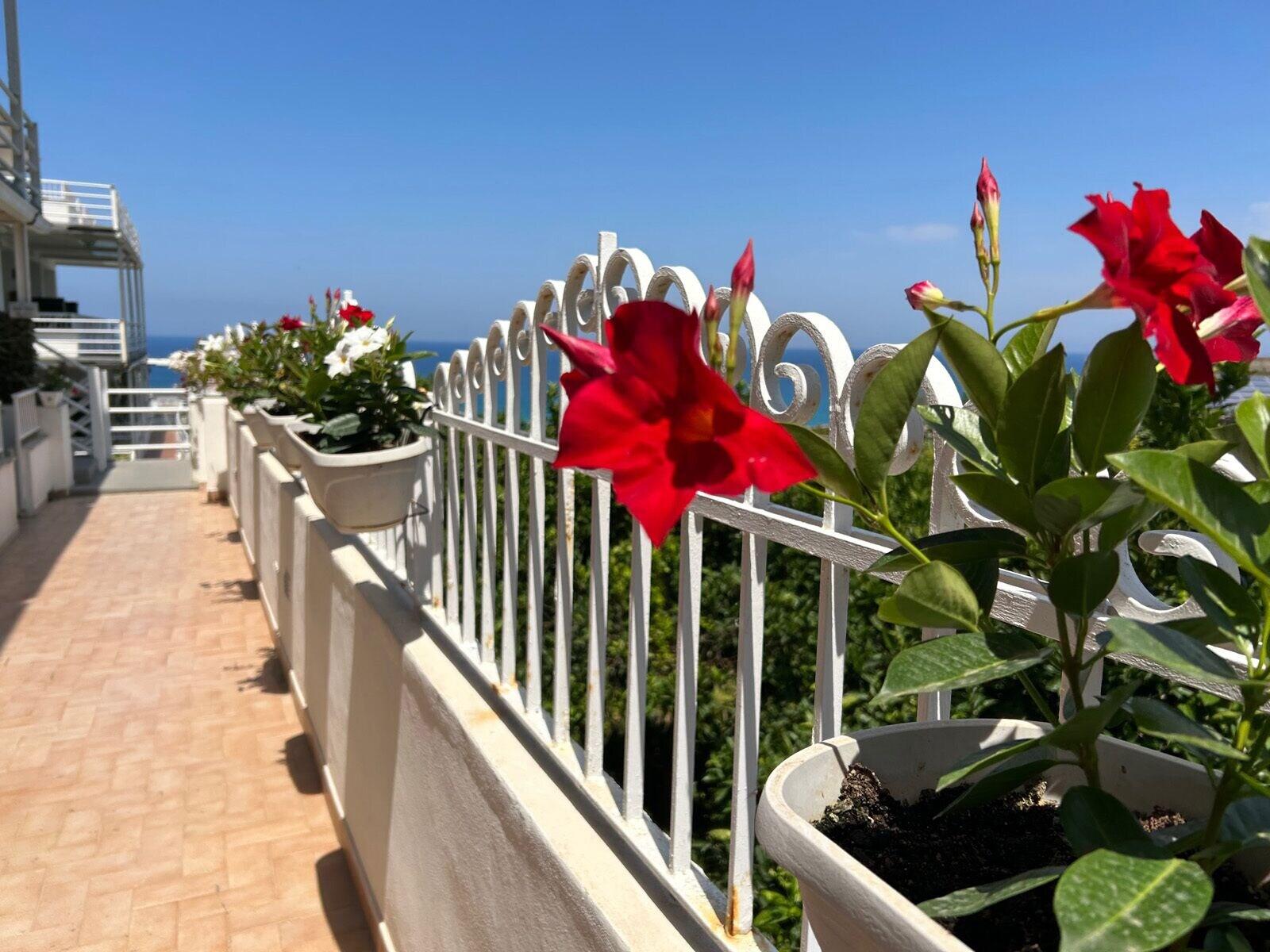 Vista Exterior Mediterranean Boutique Hotel