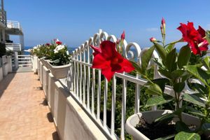 Alojamiento - Mediterranean Boutique Hotel