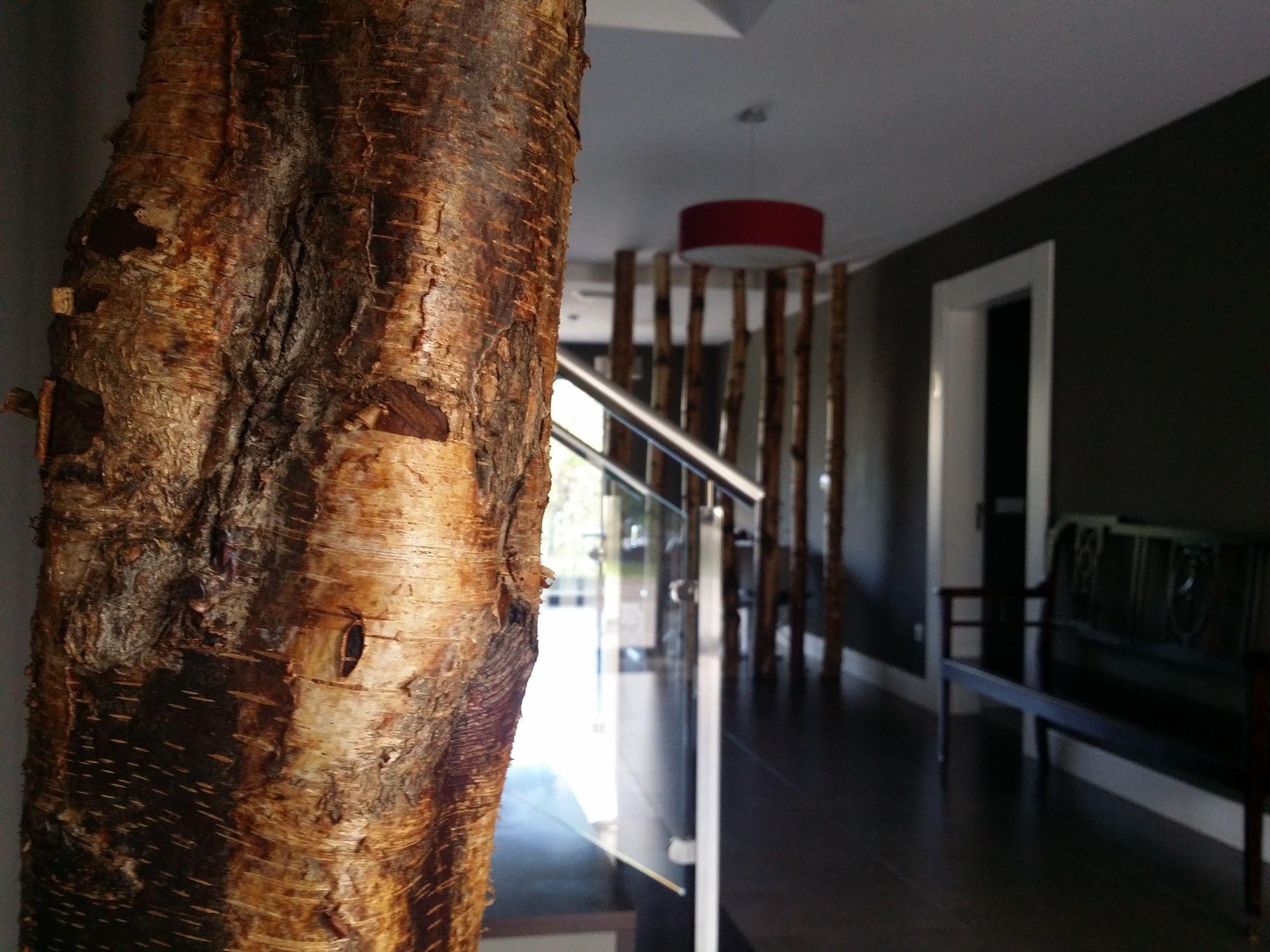 Vista Lobby Hotel A Finca