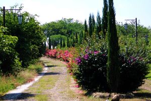 Alojamiento - HACIENDA SAN NICOLAS DE LAS FUENTES