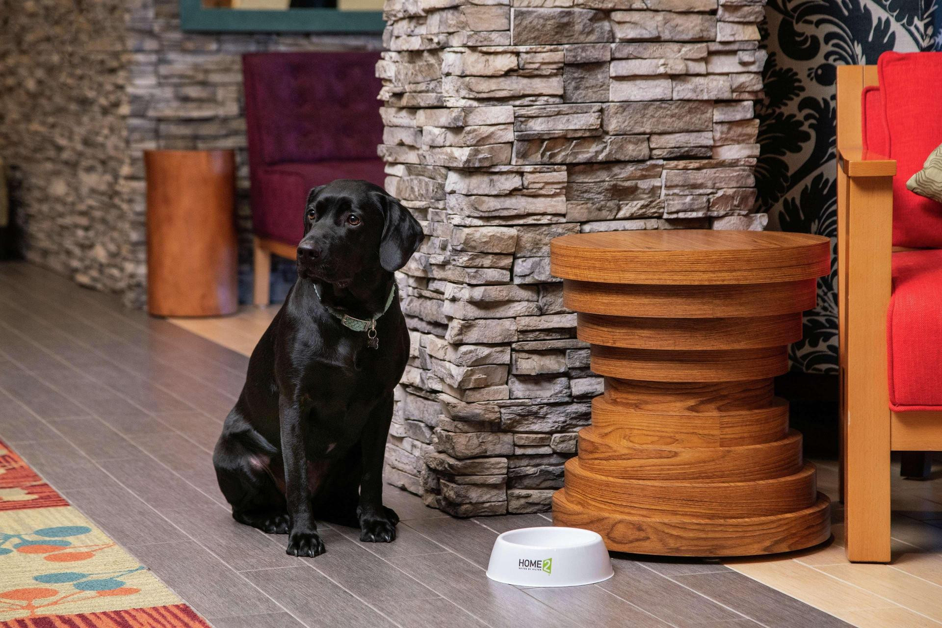 Vista Lobby Home2 Suites by Hilton Anchorage / Midtown