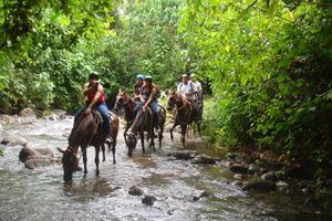 Actividad - Excursión a caballo a la cascada de La Fortuna desde Arenal