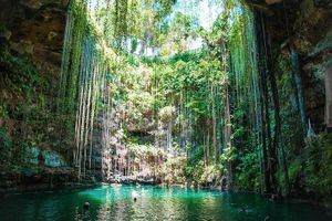 Actividad - Tres Cenotes Tour