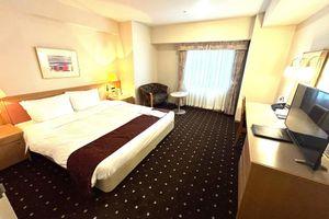 Alojamiento - Hotel Lake Alster Alza Izumiotsu