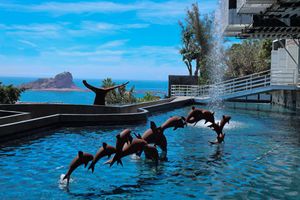 Actividad - Munba: Museo Nacional de la Ballena - Tour