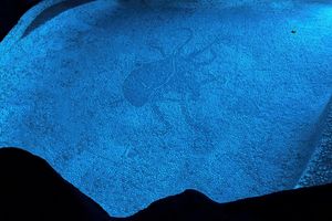 Alquiler Vacacional - Queenslander house with plenty of space and very tropical.