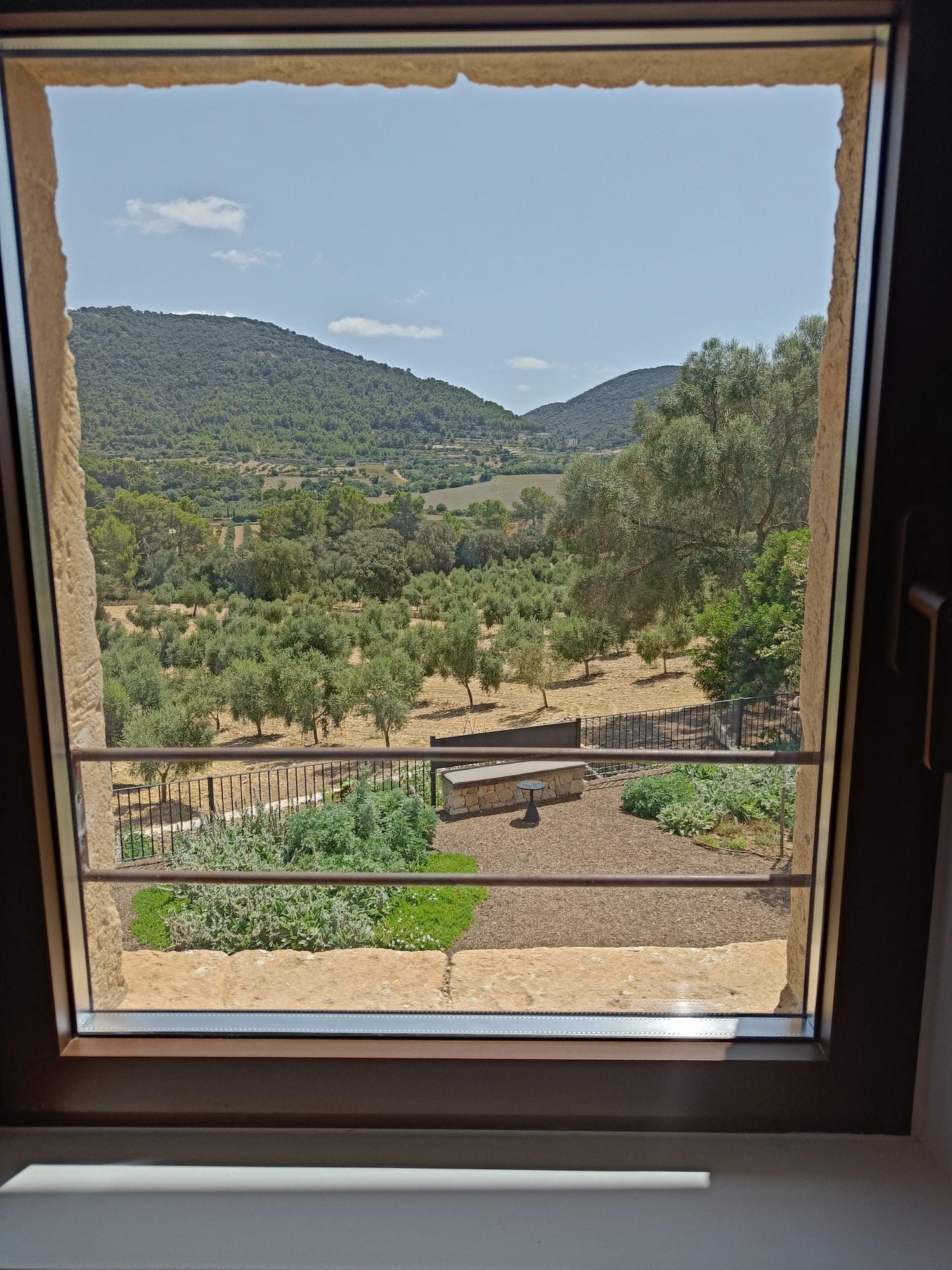 Vista Exterior Treurer Olive Grove & Grand House - Adults Only