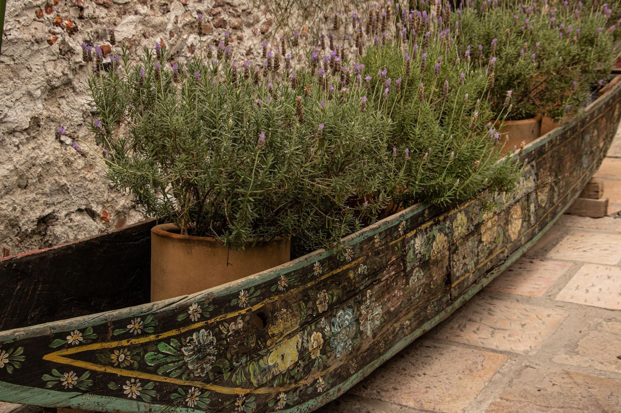 Vista Exterior Orchid House San Miguel de Allende