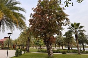 Alquiler Vacacional - Vinhome Grand Park Homestay-Romantic Stay