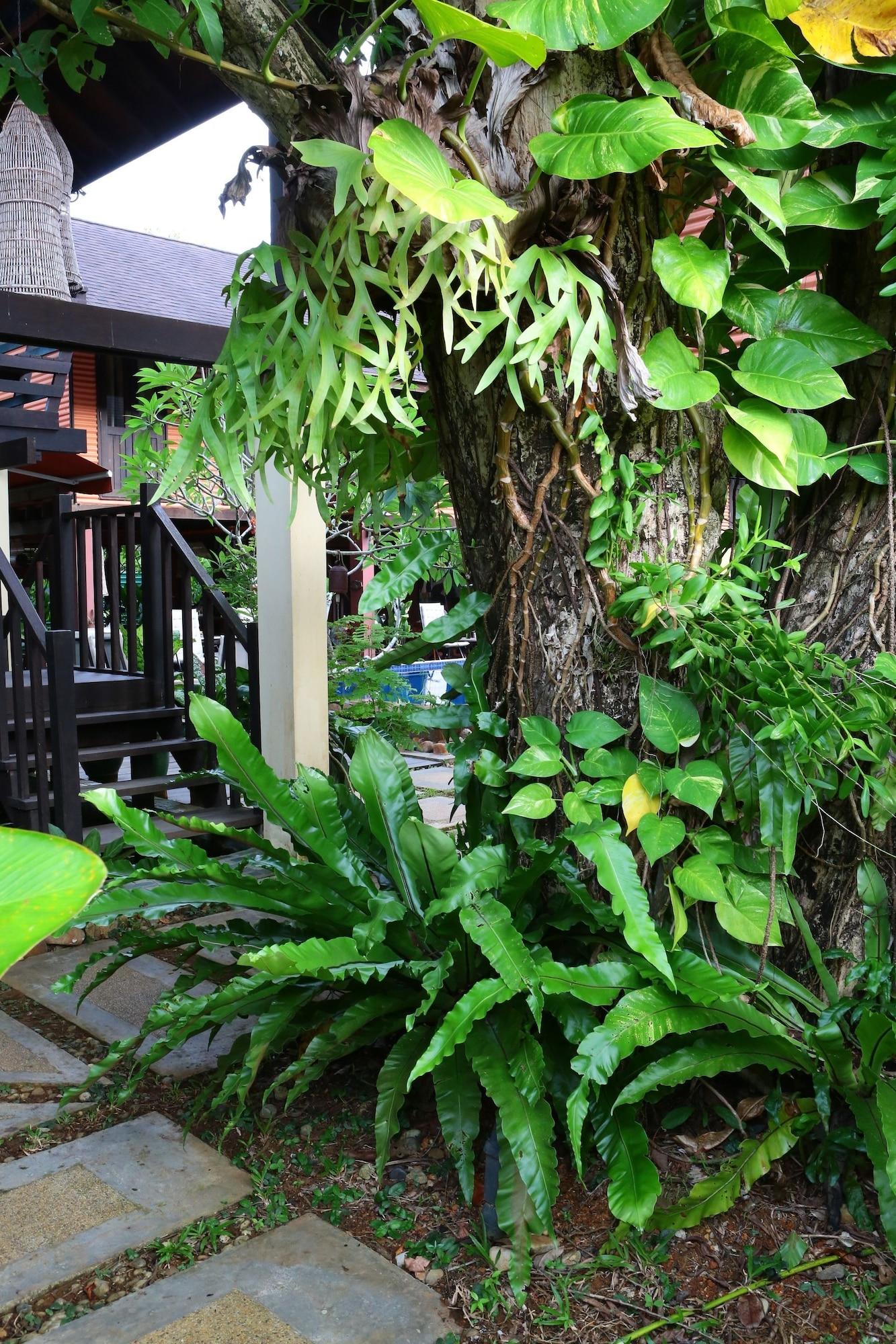 Vista Lobby The Village House