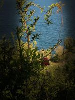 Alquiler Vacacional - Panorama Residence Magnificient View