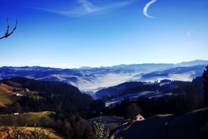 Alojamiento - Boutique Hotel Moosegg