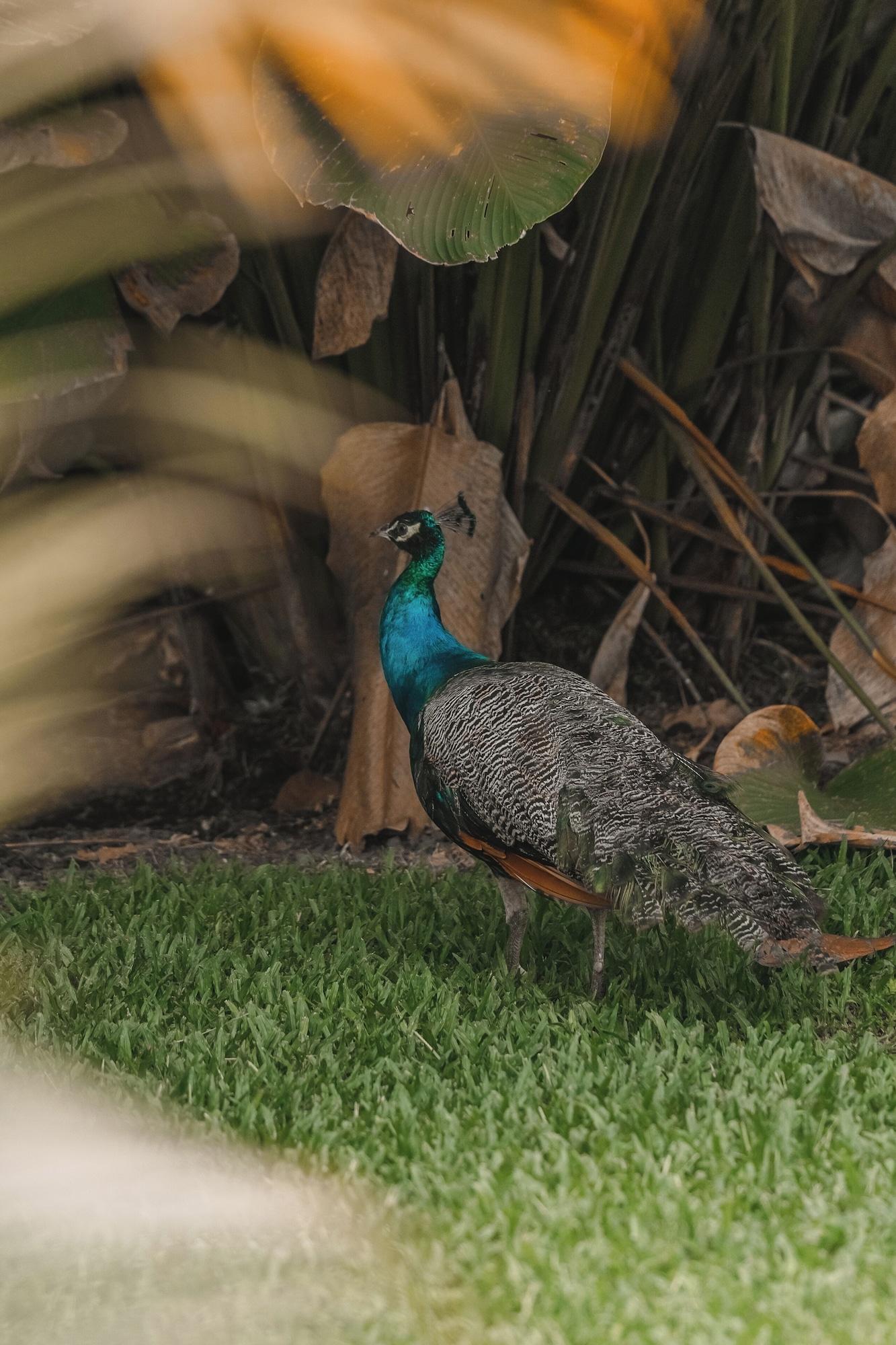 Vista Exterior Hotel Sanctuarium