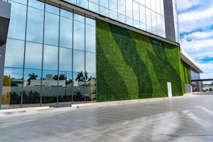 Paquete - Camino Real Mérida