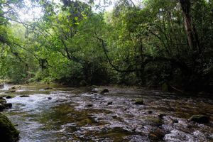 Alojamiento - Kanawha Eco Hotel