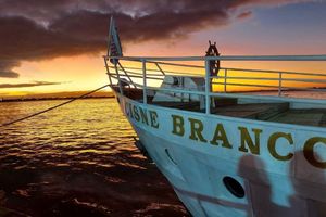 Actividad - Barco Cisne Blanco - Billete de Navegación Guaíba 