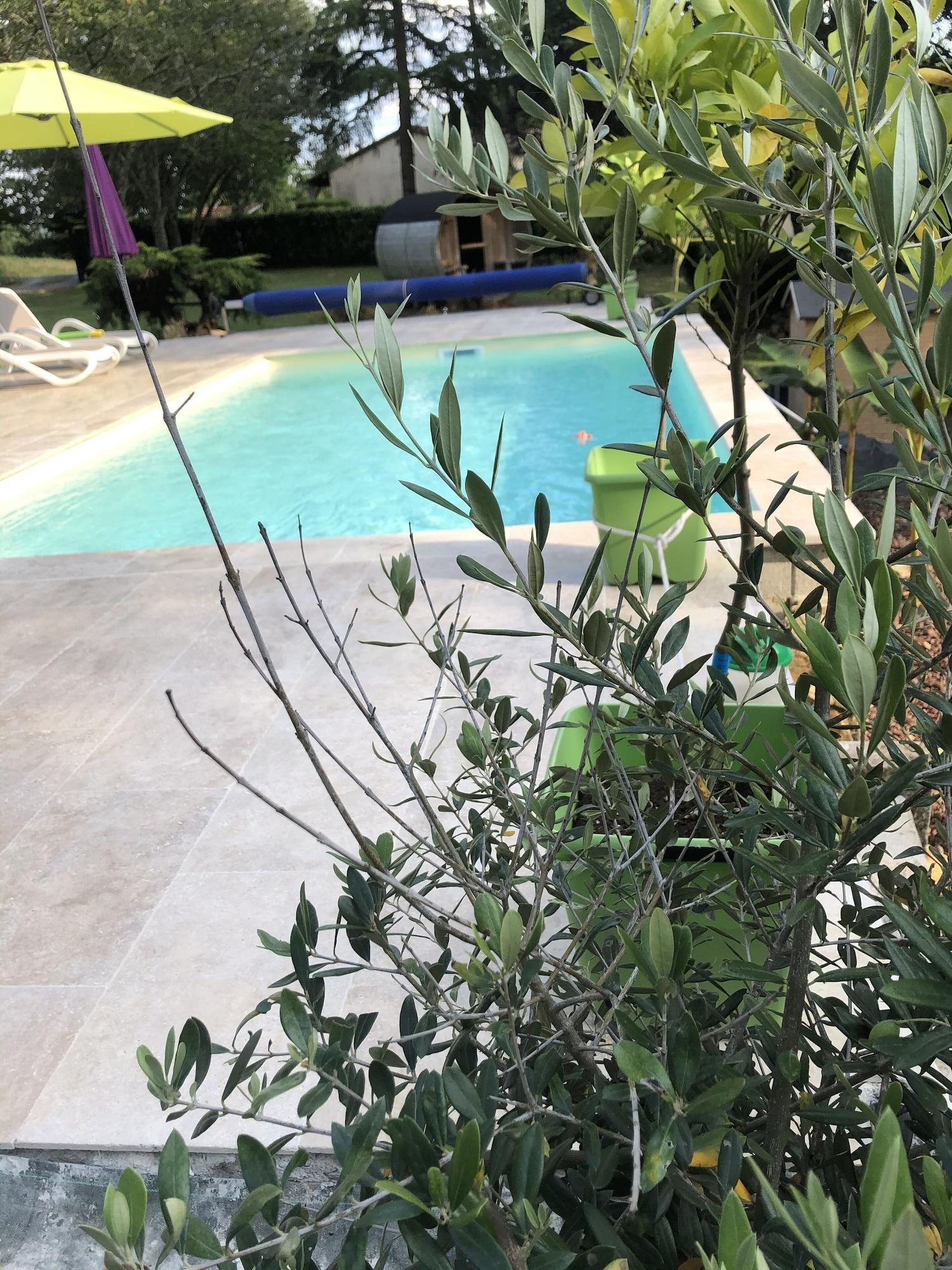 Vista Piscina Les Plantous de Severo