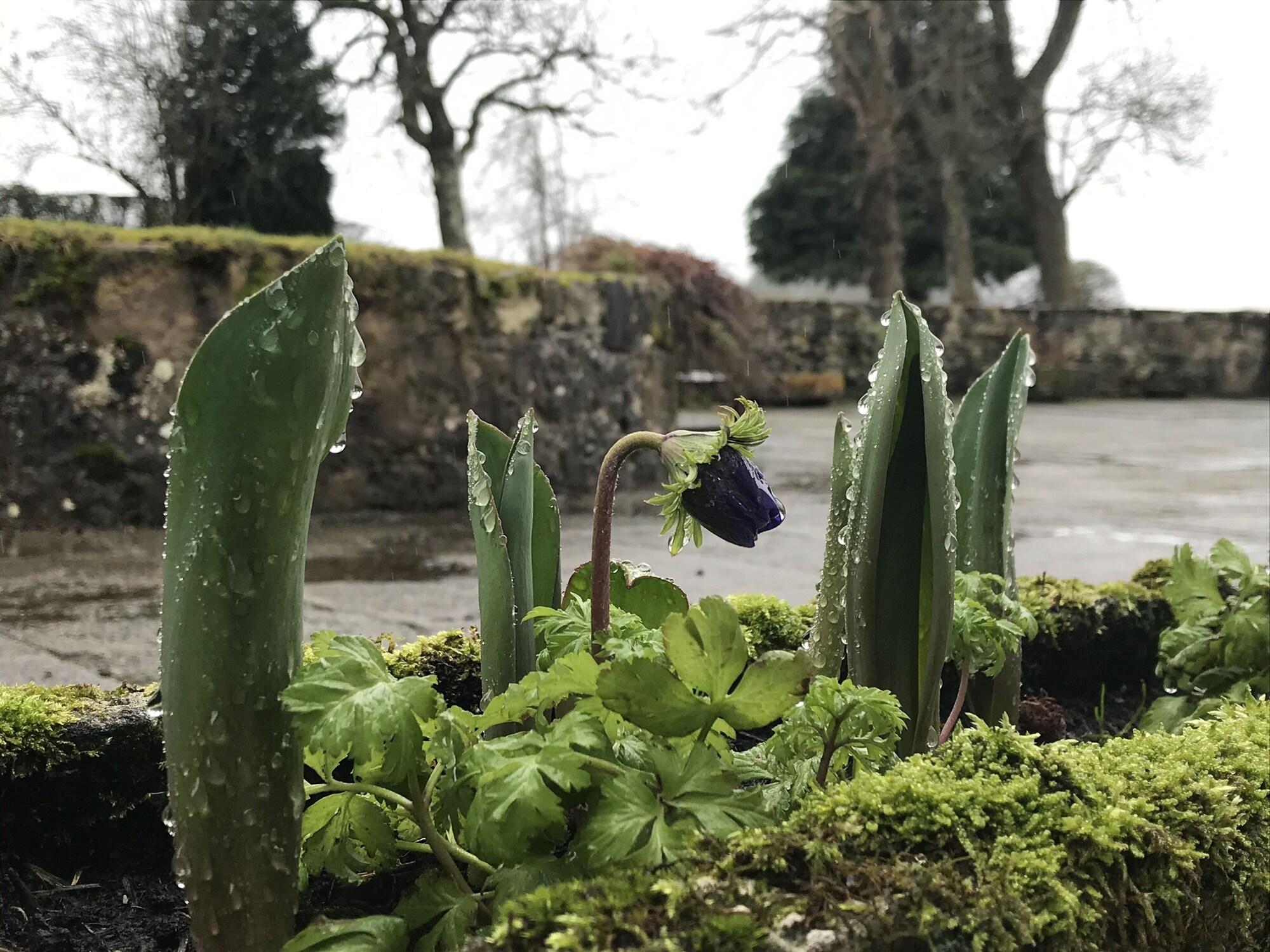 Equipamiento de Habitación South Craighall Bed & Breakfast