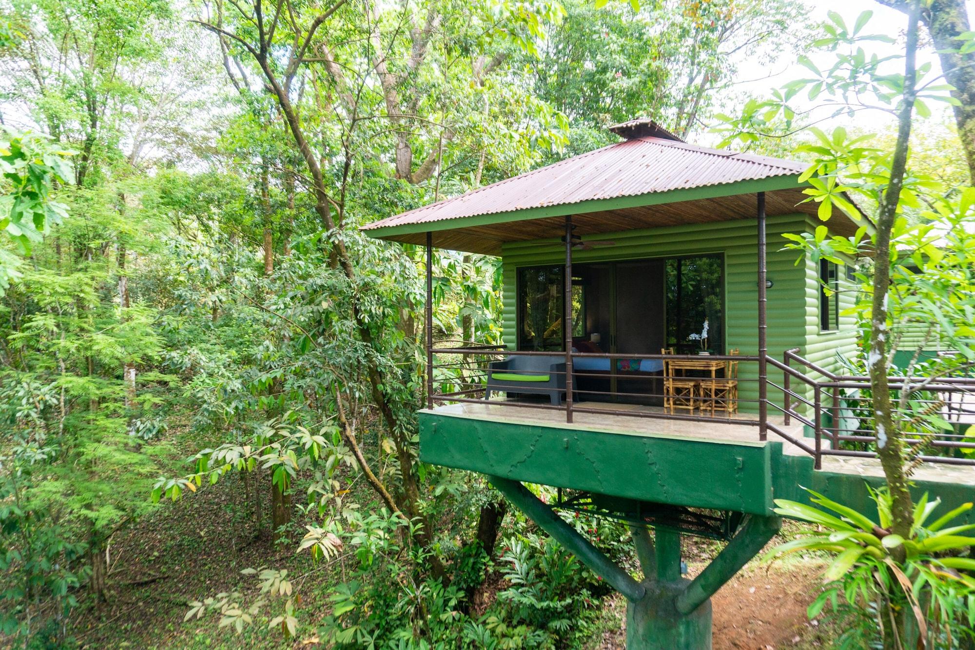 Equipamiento de Habitación Arbol Verde Villas