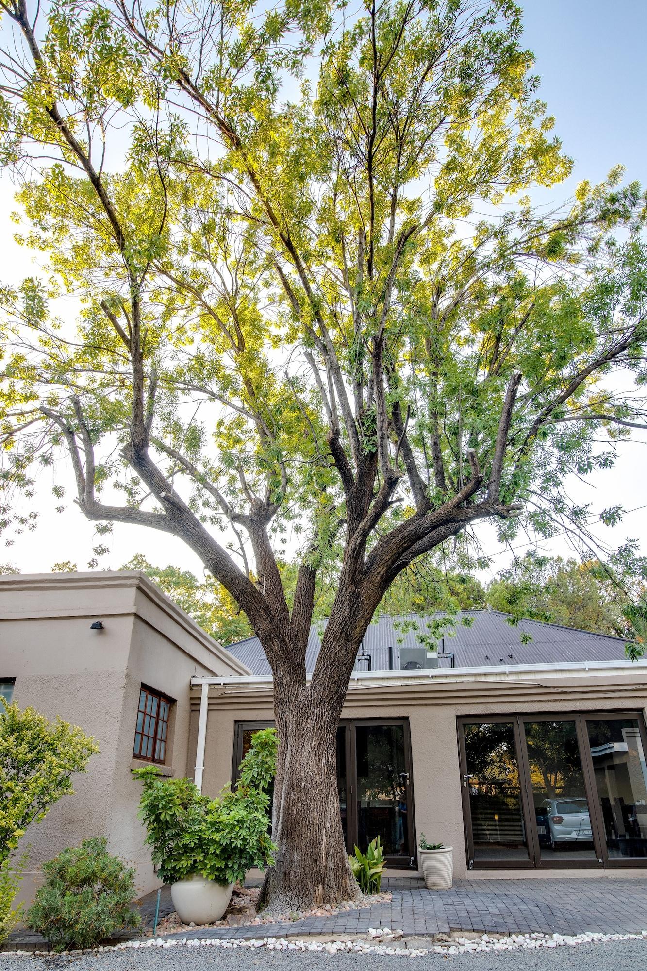 Comodidades del Alojamiento The Nightingale Guesthouse