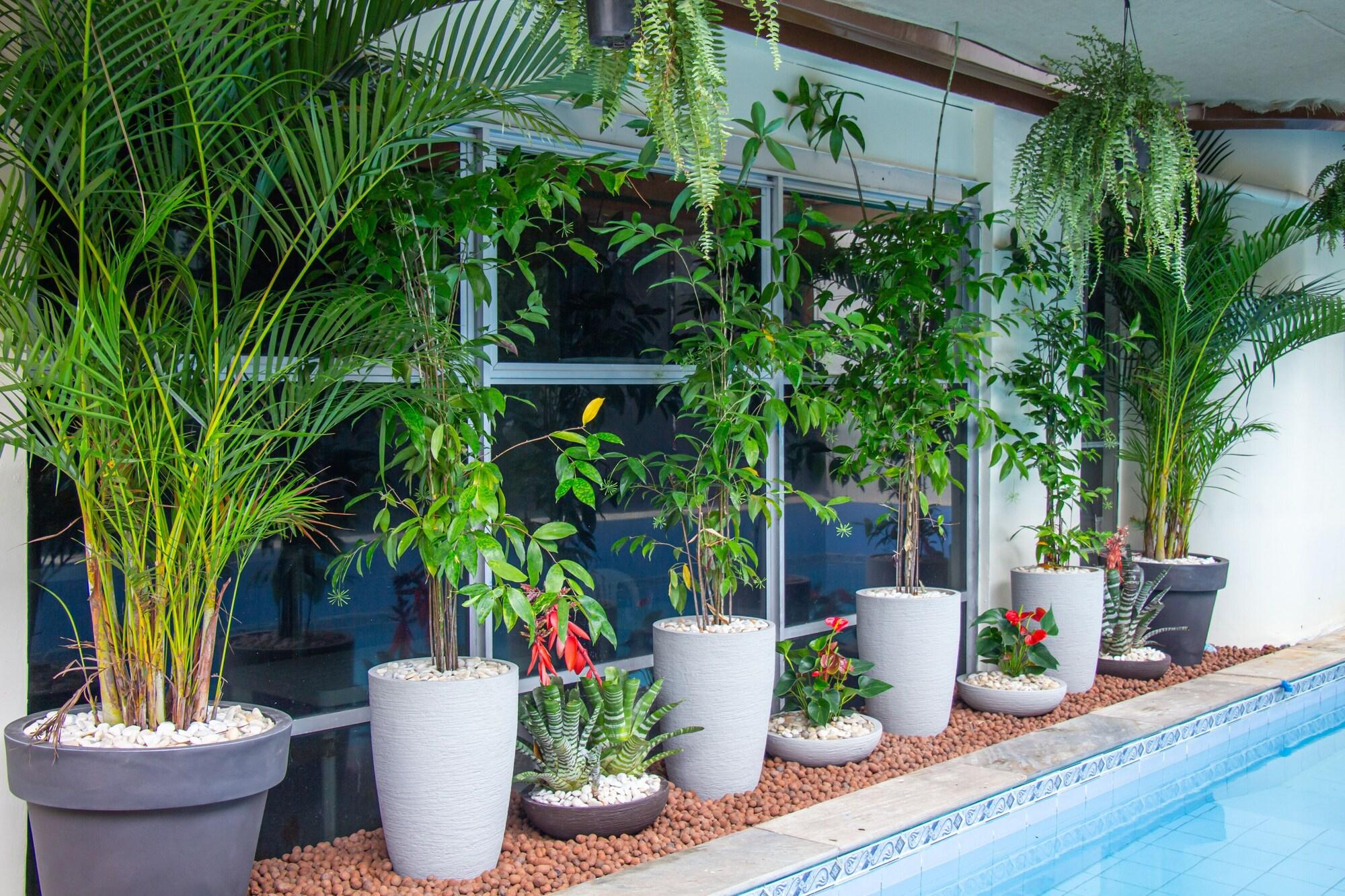 Varios Prestige Manaus Hotel