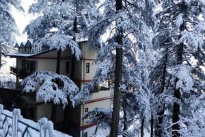 Alojamiento - Sleeping Buddha View Shimla