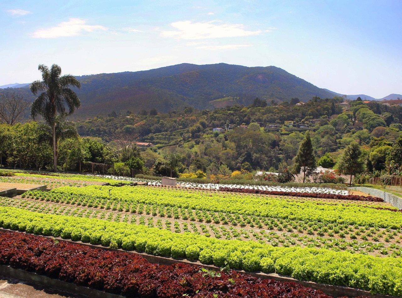 Playa Unique Garden