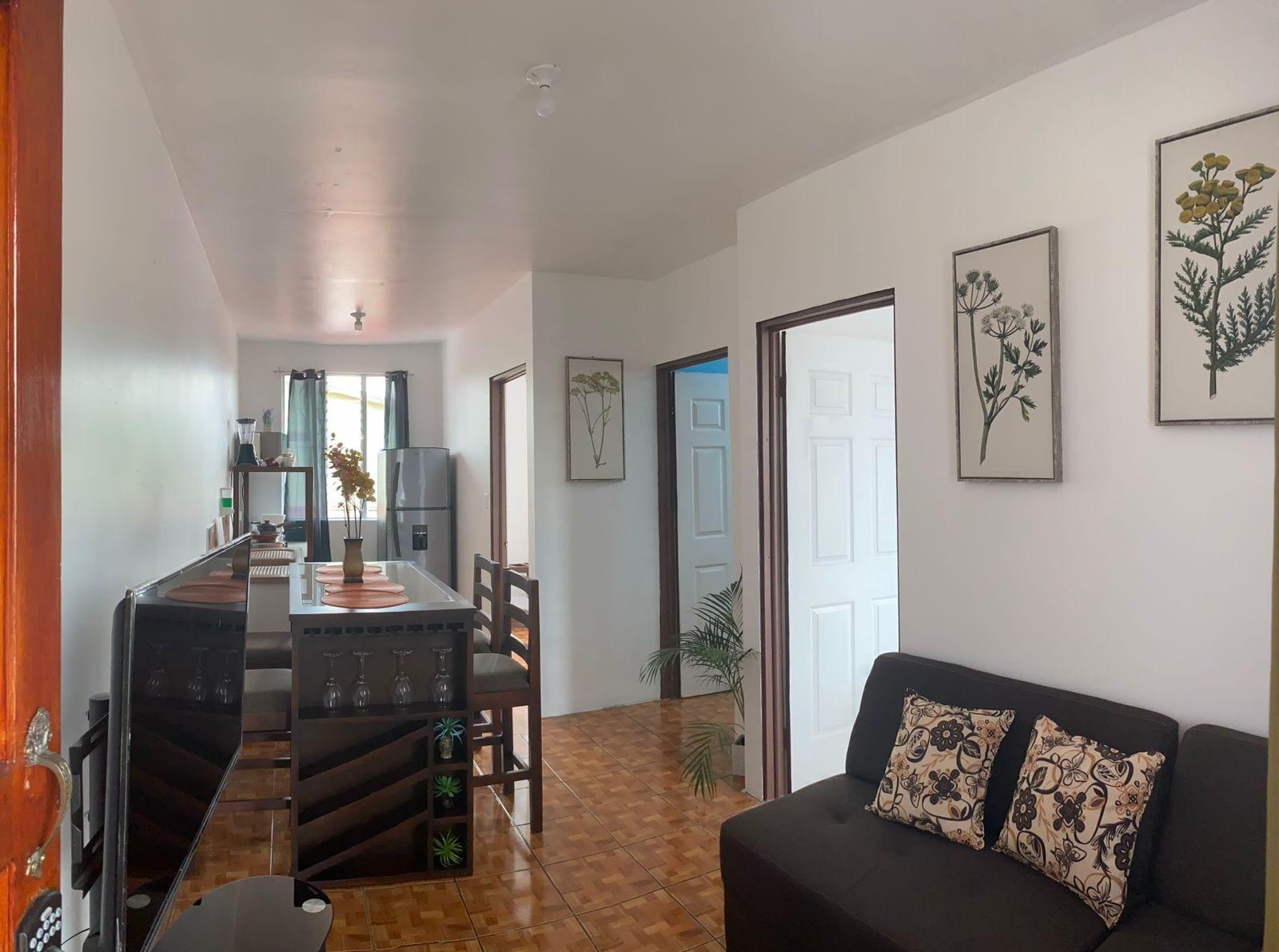 Varios coati del arenal