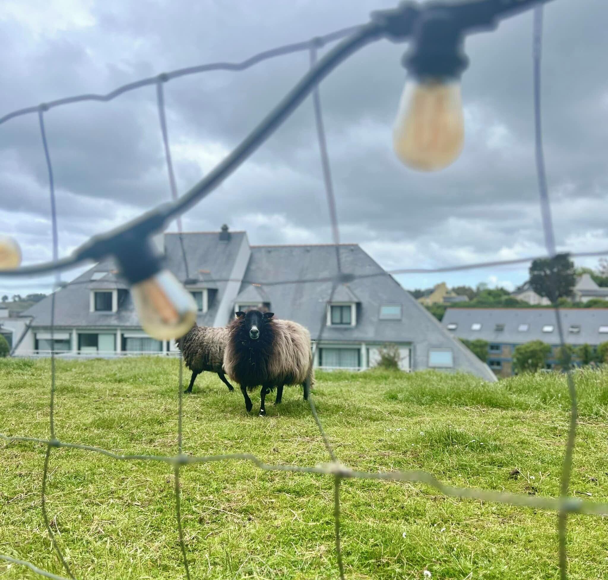 Vista Exterior Quality Hotel Le Cardinal