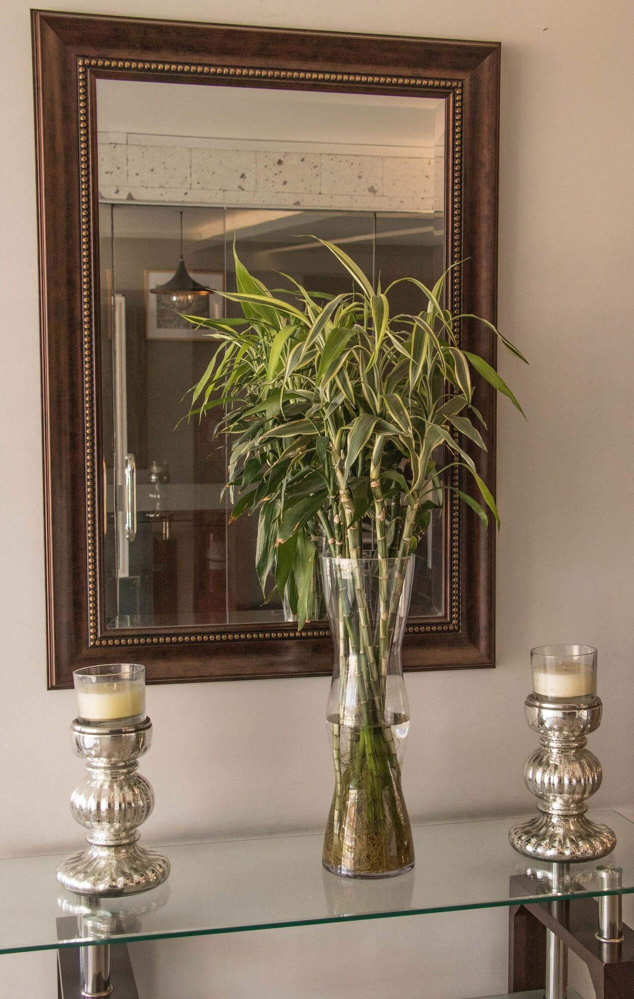 Vista Lobby Samana Hotel