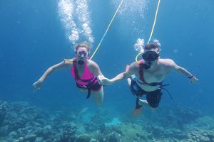 Actividad - Entrada Isla de Palm + Snuba