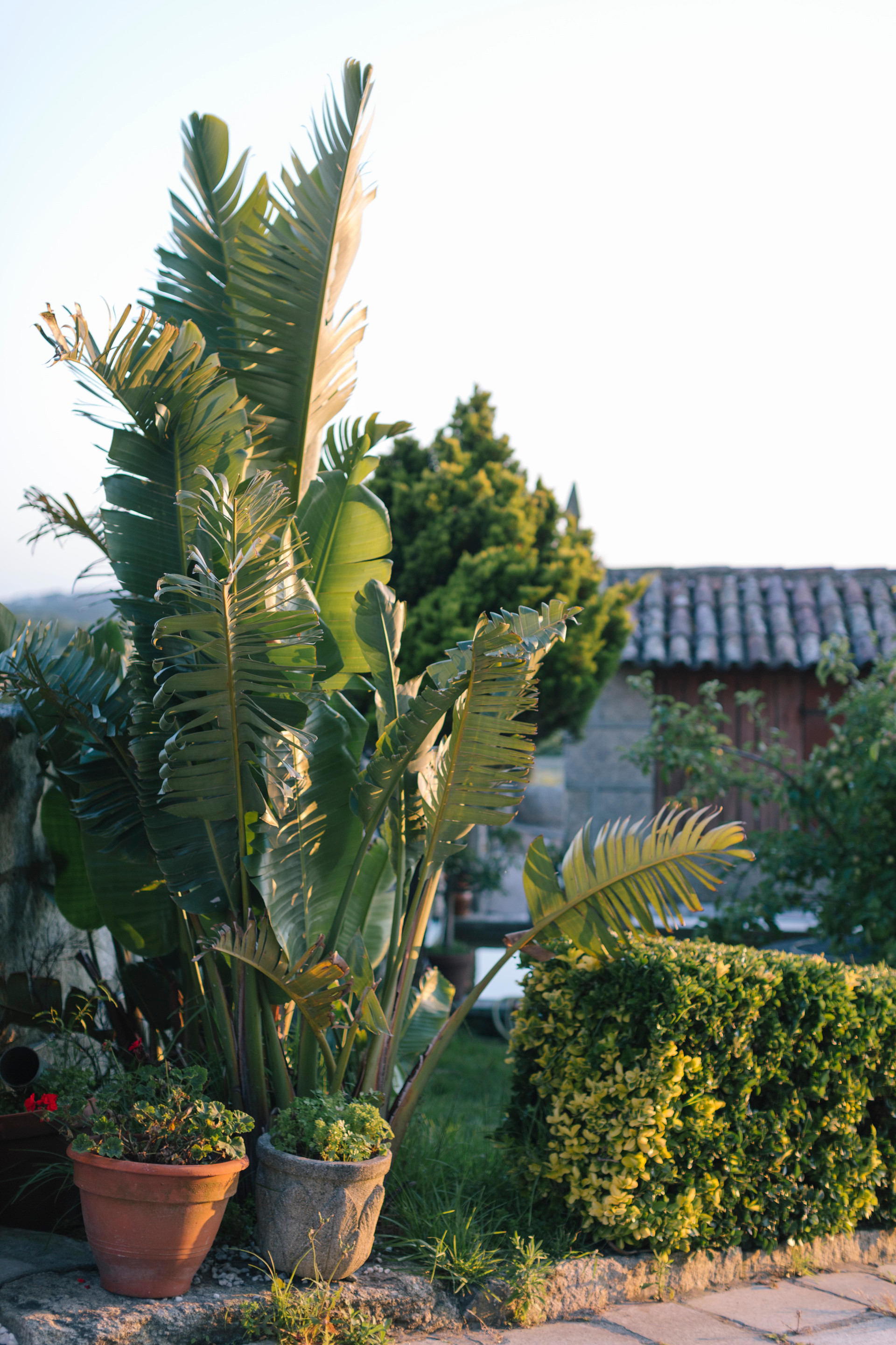 Vista Exterior Hotel O Castro