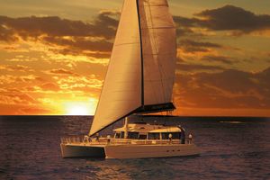 Actividad - Catamarán Freebird - Con recogida en hoteles del sur