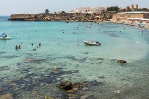 Actividad - Excursión a la isla de Tabarca y el palmeral de Elche