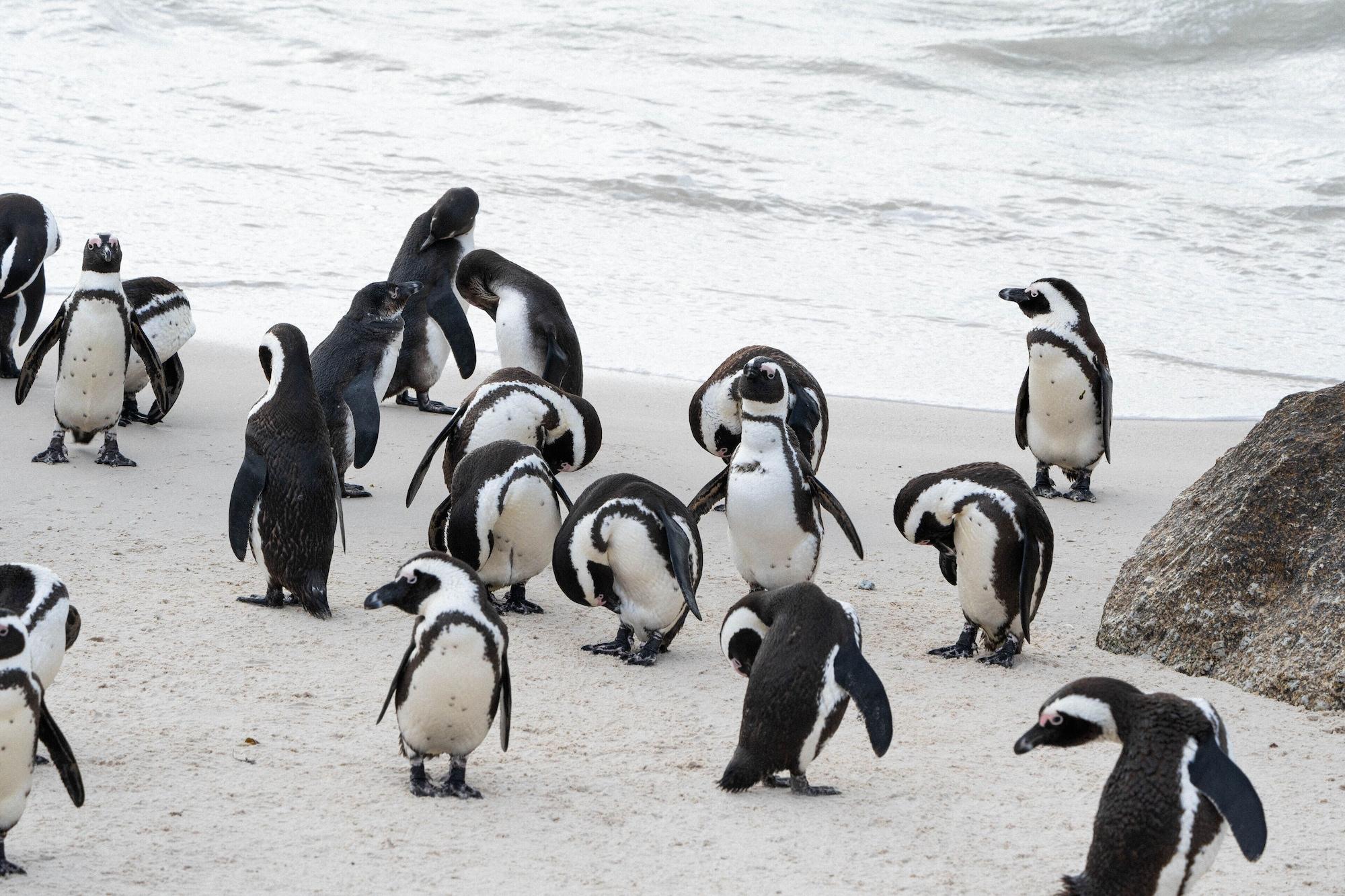 Playa Mount Nelson, A Belmond Hotel, Cape Town