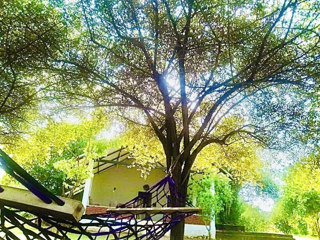 Vista Lobby thihawa eco huts yala