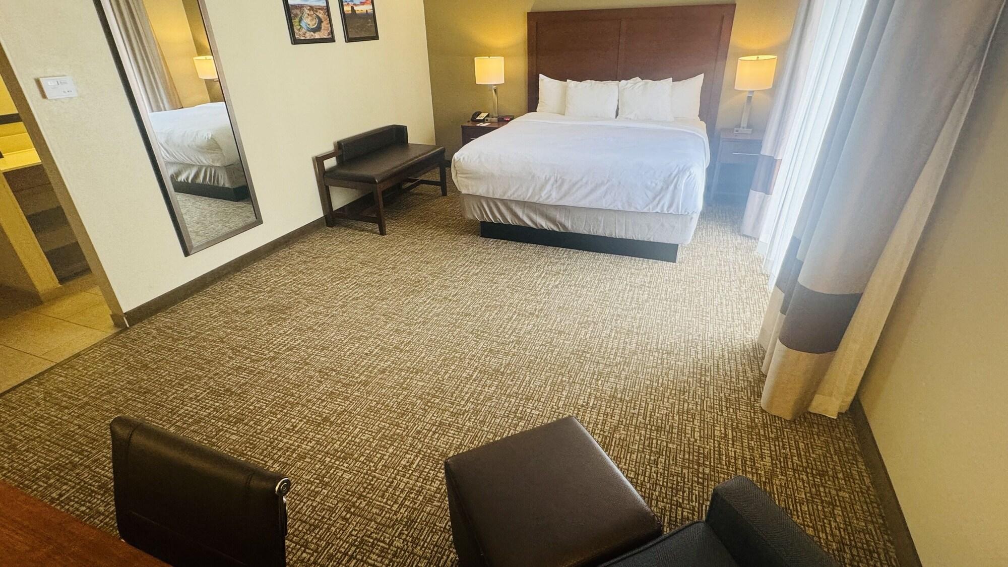 Habitación Comfort Inn Downtown